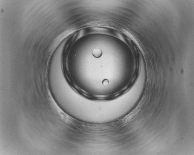 X0000089411434200706151240