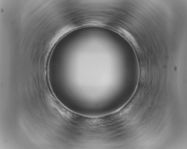 X0000089411435200706151241