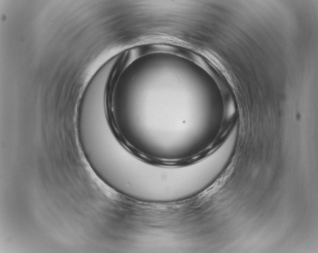 X0000089411438200706151241