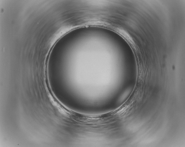 X0000089411439200706151241