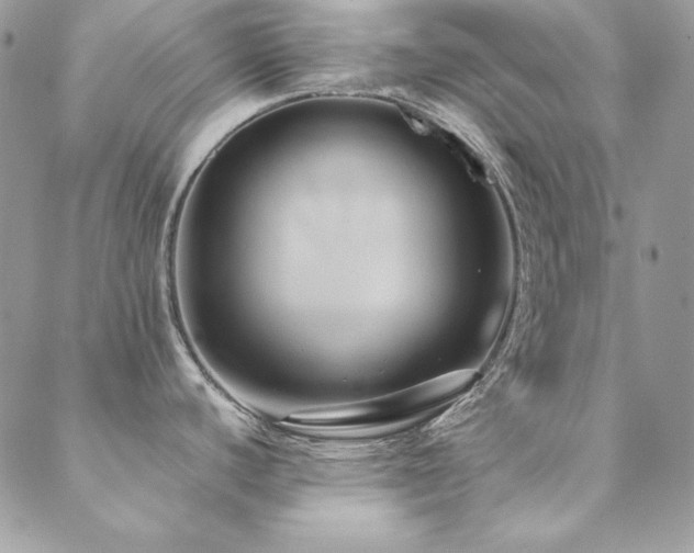 X0000089411440200706151241