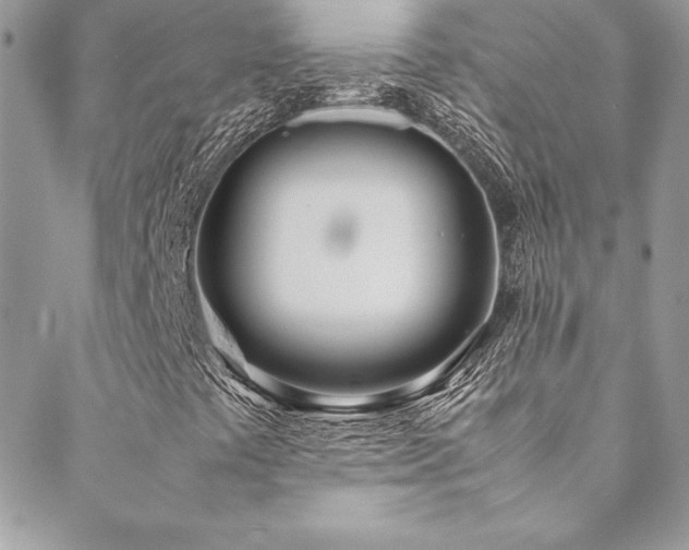 X0000089411441200706151240