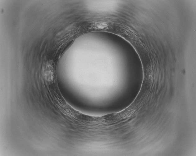 X0000089411442200706151240