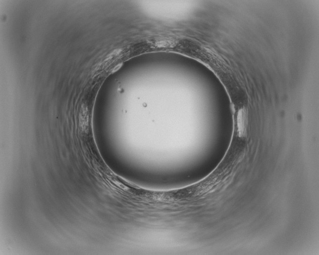 X0000089411443200706151240