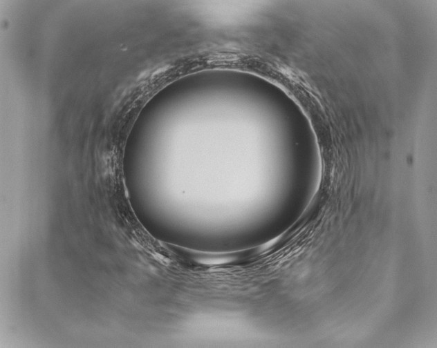 X0000089411445200706151240