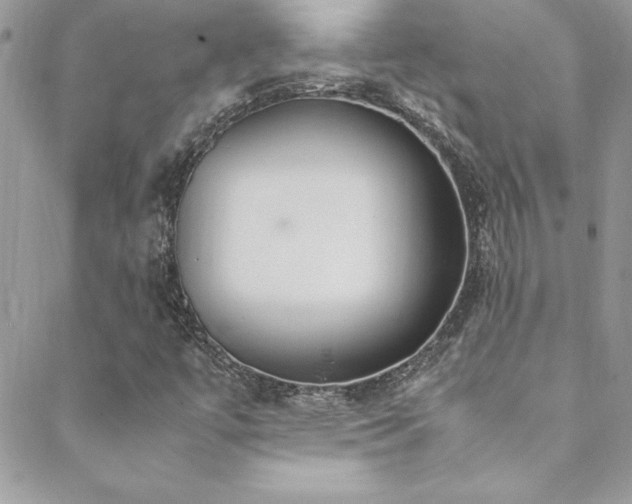 X0000089411447200706151240