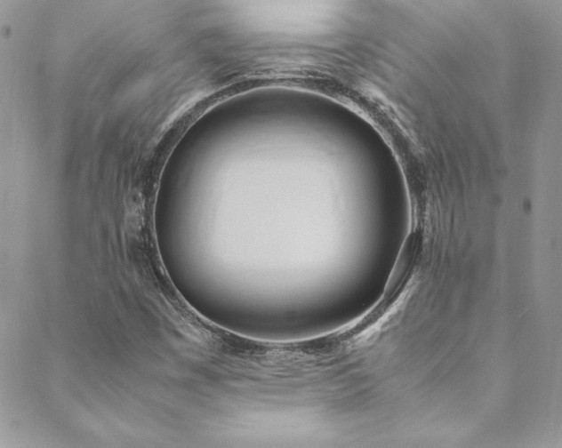 X0000089411449200706151240