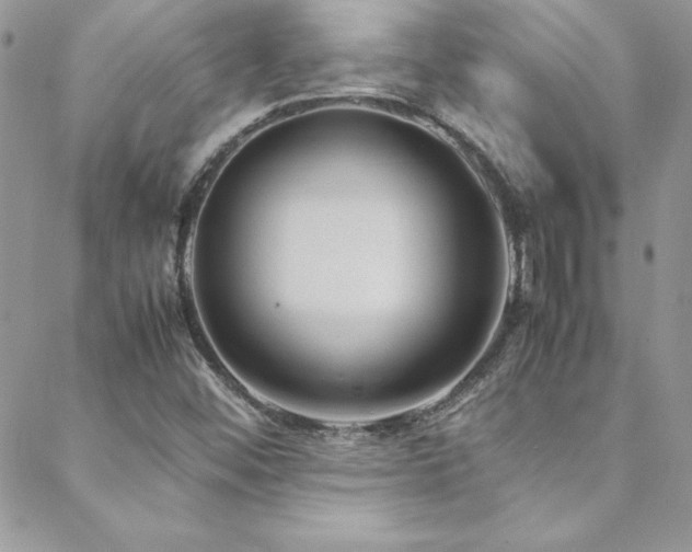 X0000089411452200706151240