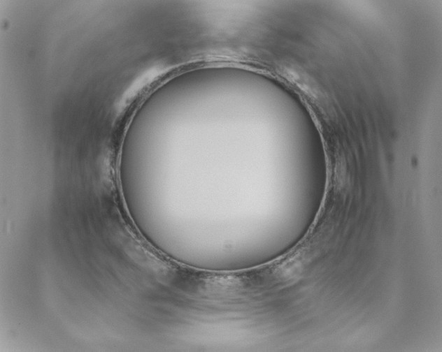 X0000089411454200706151240