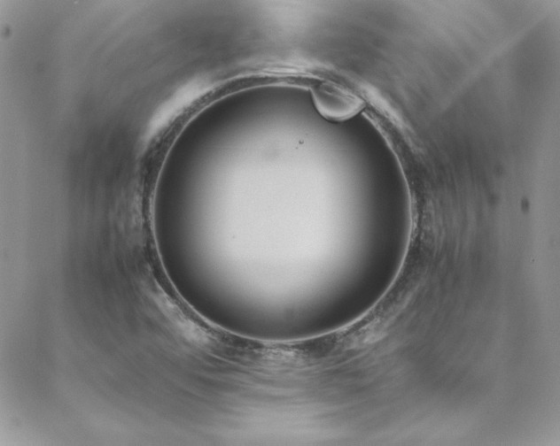 X0000089411456200706151240