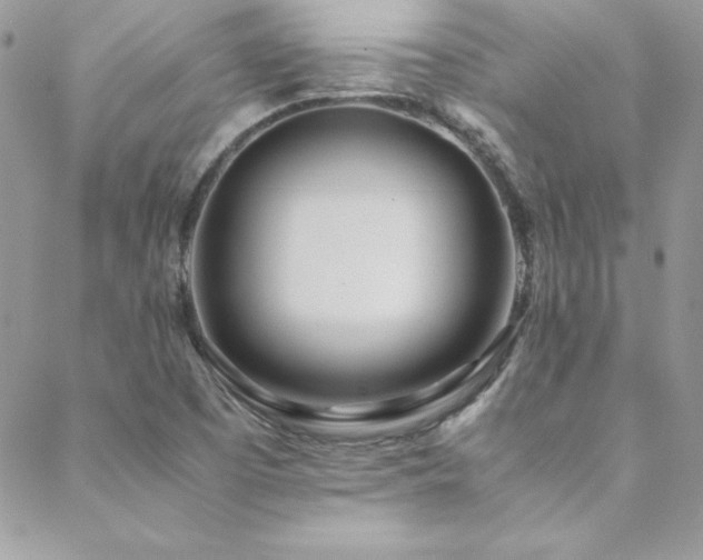X0000089411457200706151240