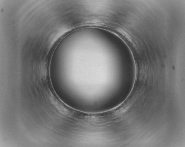 X0000089411458200706151240