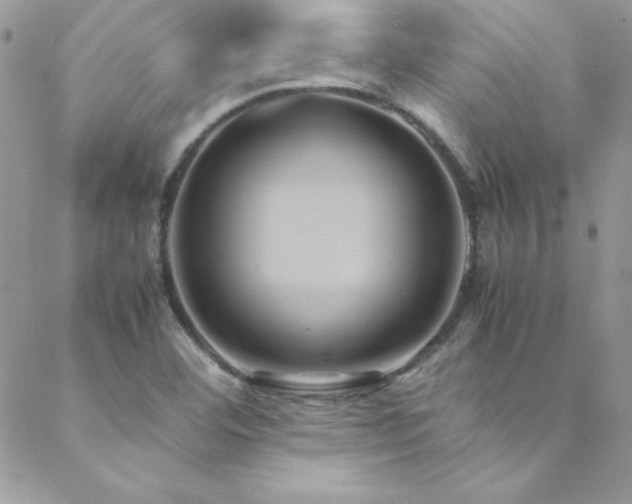 X0000089411460200706151240