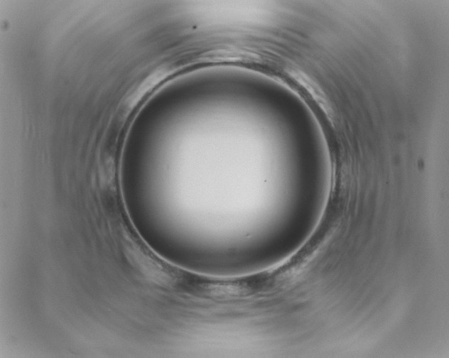 X0000089411465200706151239