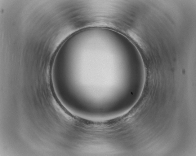 X0000089411468200706151239