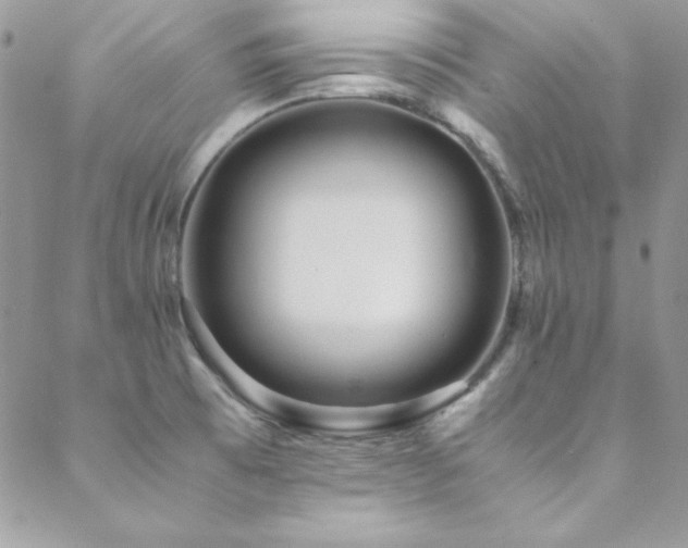 X0000089411473200706151239