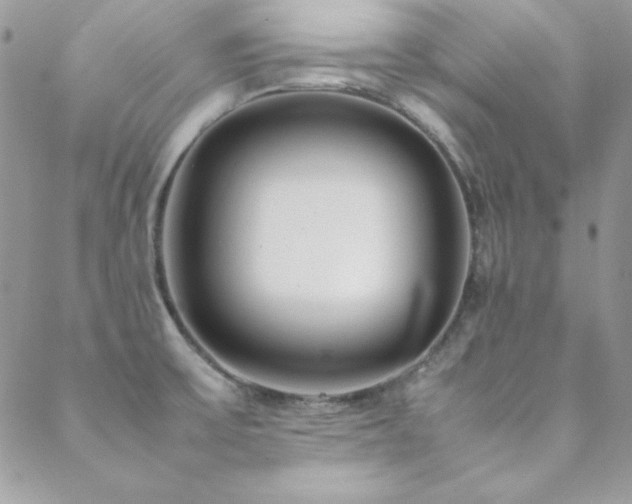 X0000089411475200706151239