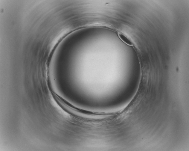 X0000089411476200706151239