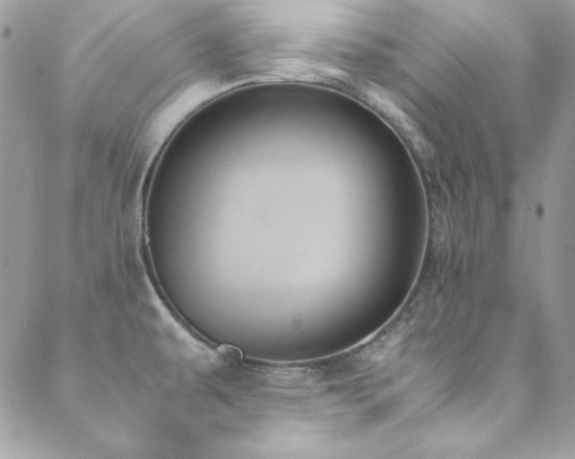 X0000089411479200706151239