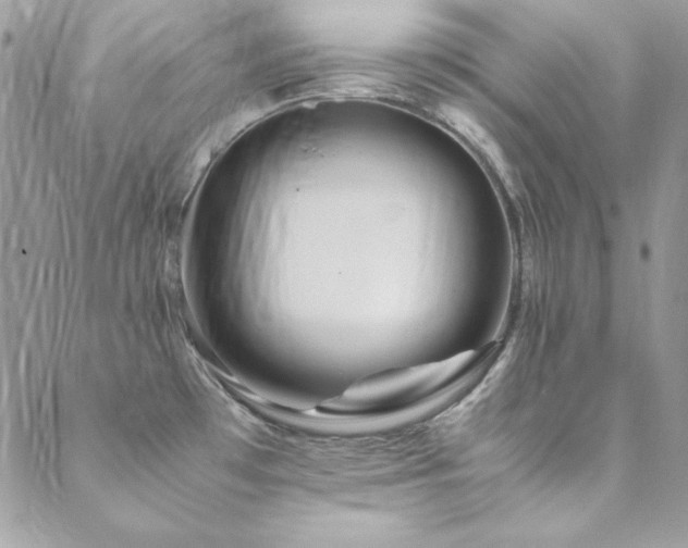 X0000089411481200706151239