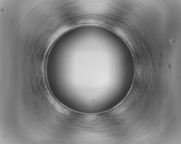 X0000089411482200706151239