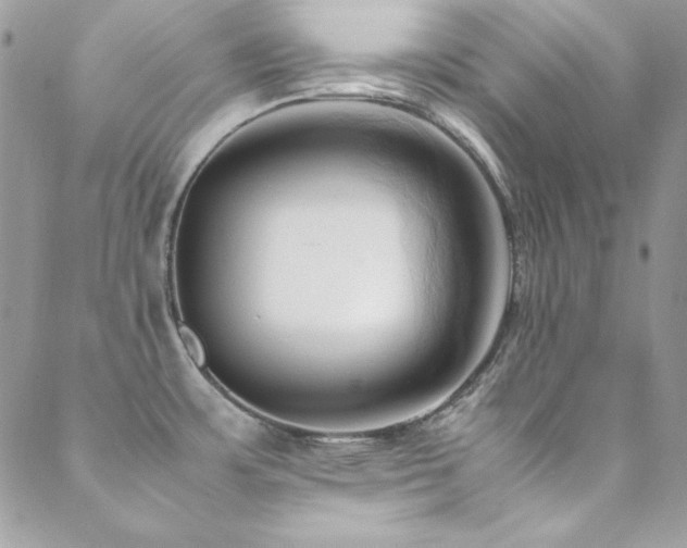 X0000089411483200706151239