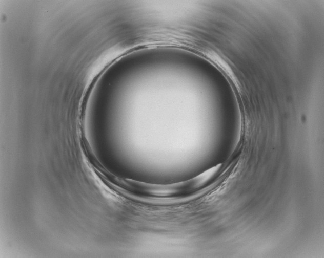 X0000089411485200706151239