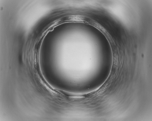 X0000089411487200706151239