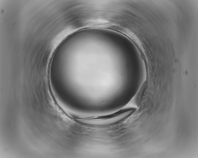 X0000089411488200706151239