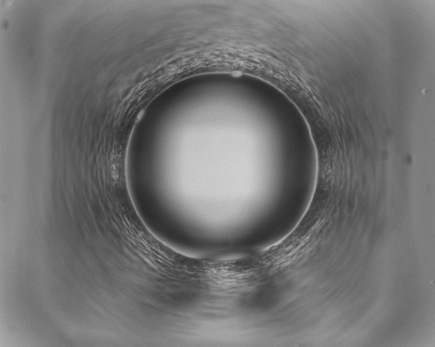 X0000089411490200706151238