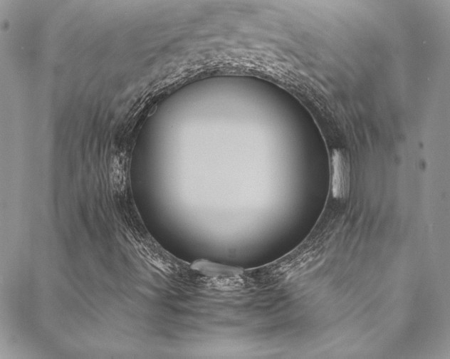 X0000089411491200706151238