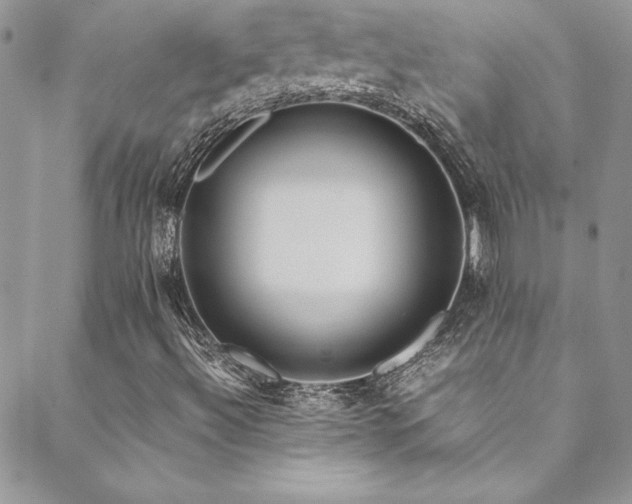 X0000089411492200706151238