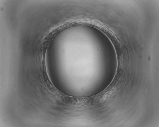 X0000089411494200706151238
