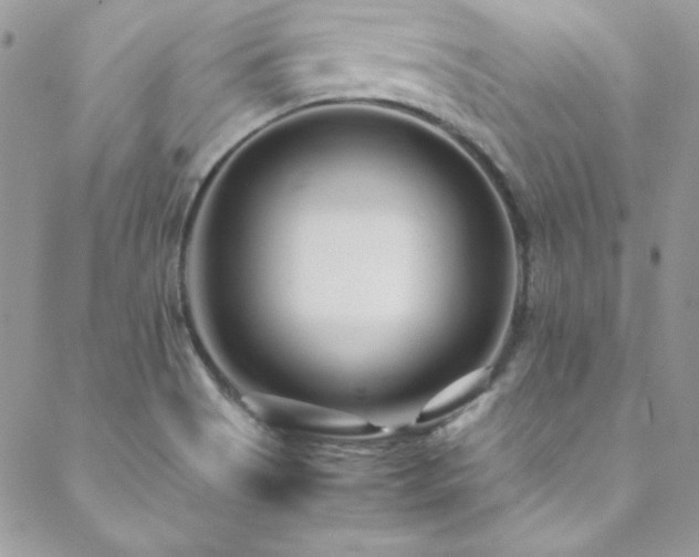 X0000089411513200706151239
