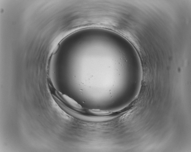 X0000089411532200706151239
