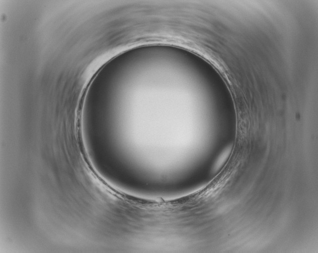 X0000089411535200706151239