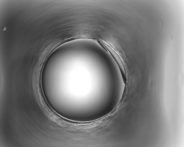 X0000089410001200706221143