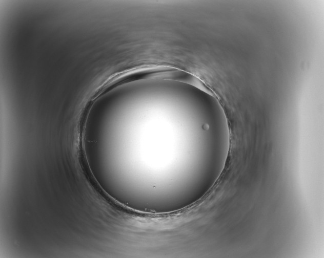 X0000089410005200706221143