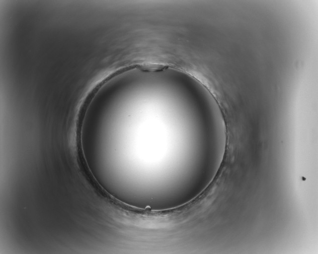 X0000089410008200706221143