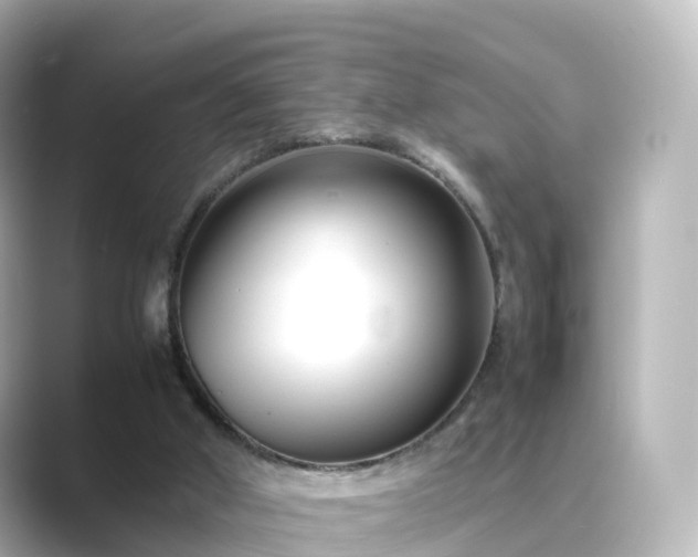 X0000089410010200706221143