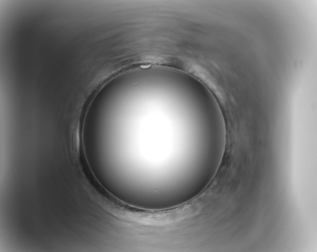 X0000089410011200706221143