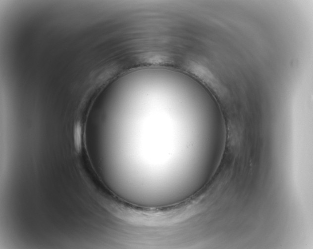 X0000089410014200706221143