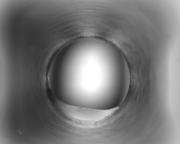 X0000089410015200706221143