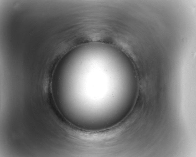 X0000089410018200706221143