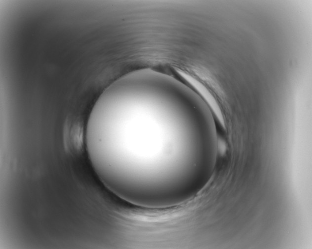 X0000089410021200706221143