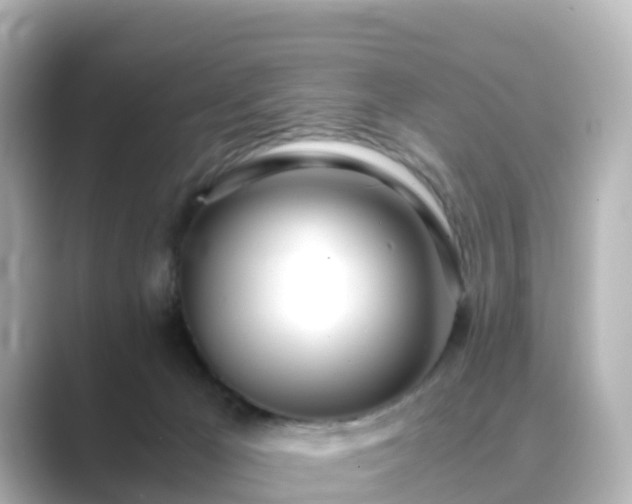 X0000089410029200706221143