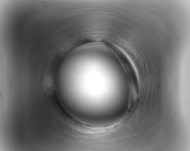 X0000089410031200706221143