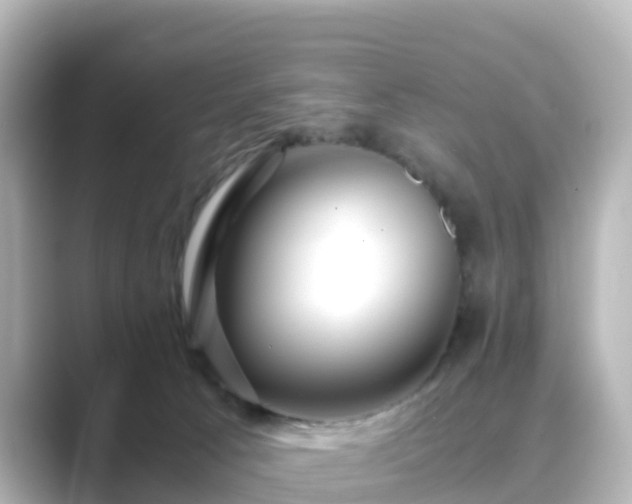 X0000089410033200706221143