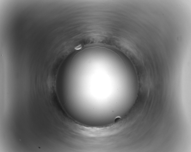 X0000089410034200706221143
