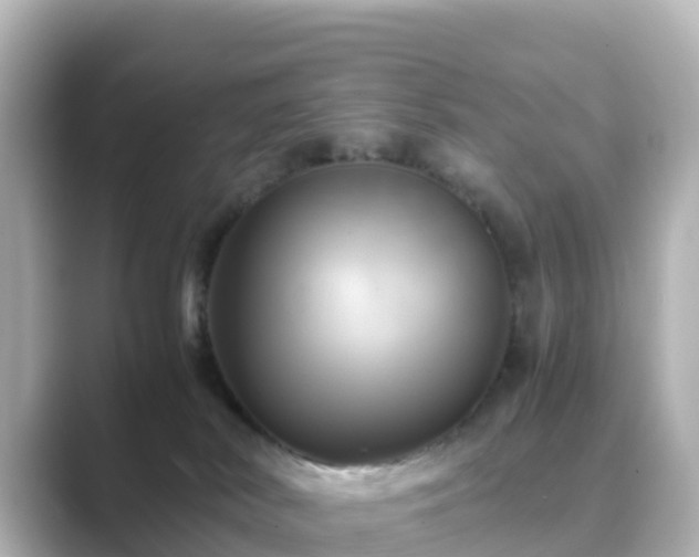 X0000089410038200706221143